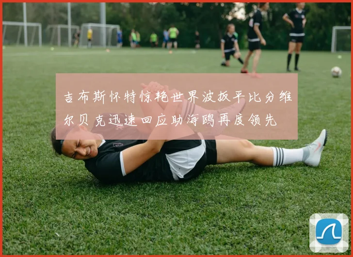 吉布斯怀特惊艳世界波扳平比分维尔贝克迅速回应助海鸥再度领先