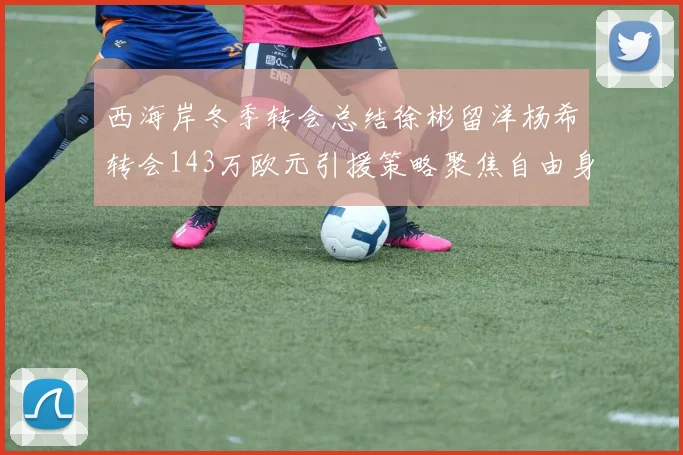 西海岸冬季转会总结徐彬留洋杨希转会143万欧元引援策略聚焦自由身球员