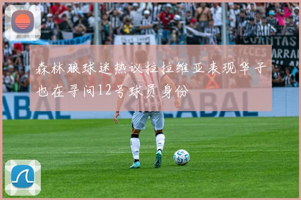 森林狼球迷热议拉拉维亚表现华子也在寻问12号球员身份