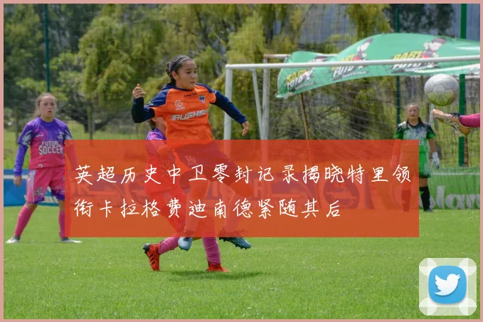 英超历史中卫零封记录揭晓特里领衔卡拉格费迪南德紧随其后